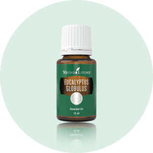 wellness-tips-okinawa-shell-ginger-img-oil3 ユーカリ・ラディアータ