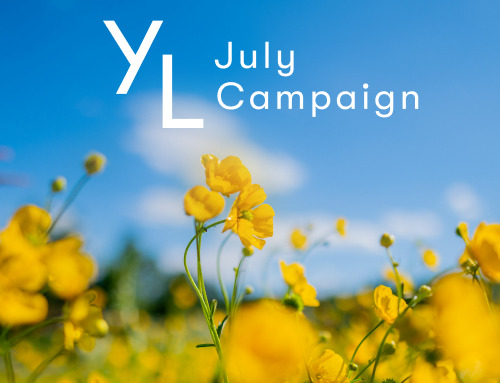 7月1日（水）〜25日（土）YLおトク便限定キャンペーン｜この夏は、自分を整える習慣から。