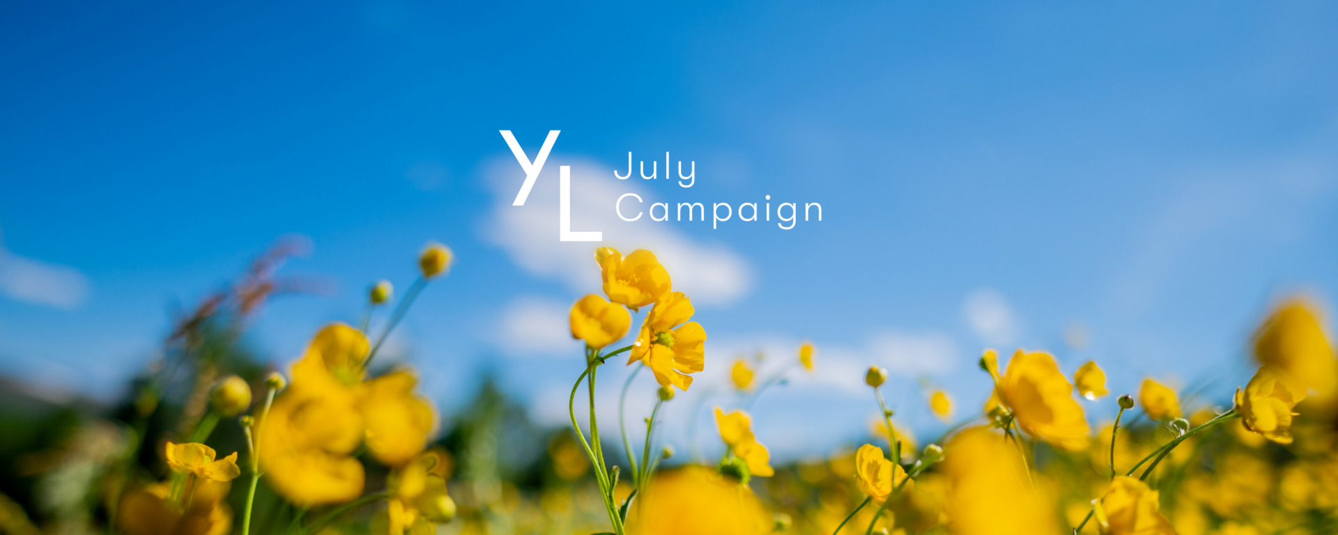 7月1日(水)〜25日(土)YLおトク便限定キャンペーン|この夏は、自分を整える習慣から。