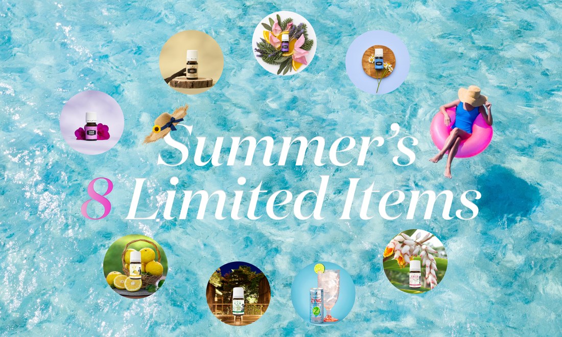 数量限定 特別販売｜夏の大感謝祭 第2弾　サマーキャンペーン＜前半＞