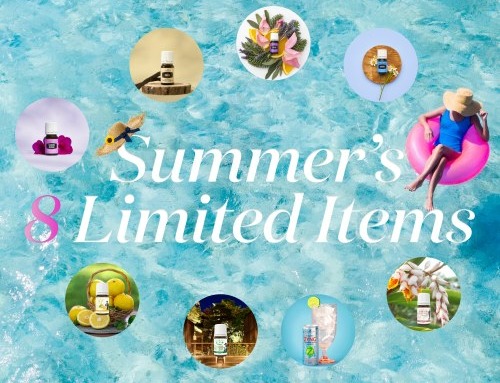 8月数量限定 特別販売｜夏の大感謝祭 第2弾 サマーキャンペーン＜前半＞