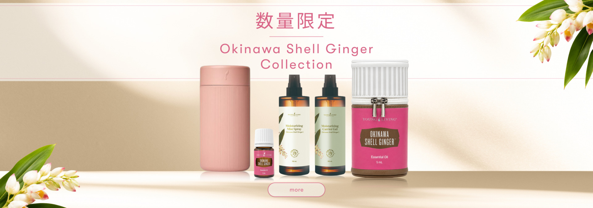OKINAWA GINGER SHELL COLLECTION