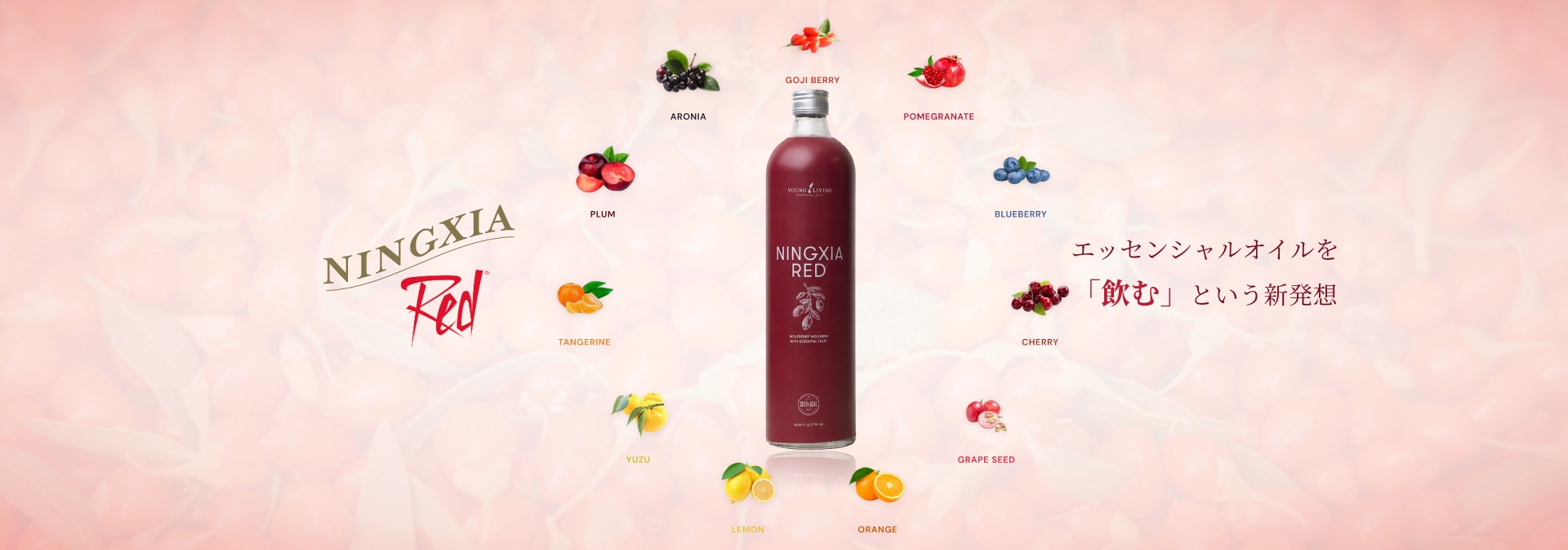 NINGXIA Red