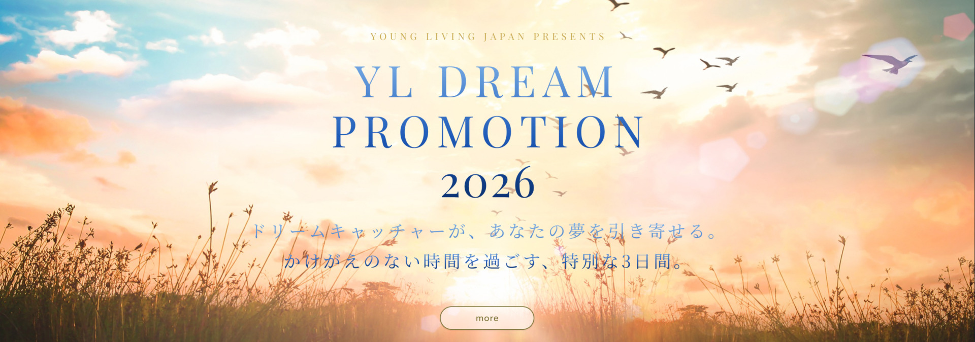 YL DREAM PROMOTION 2026