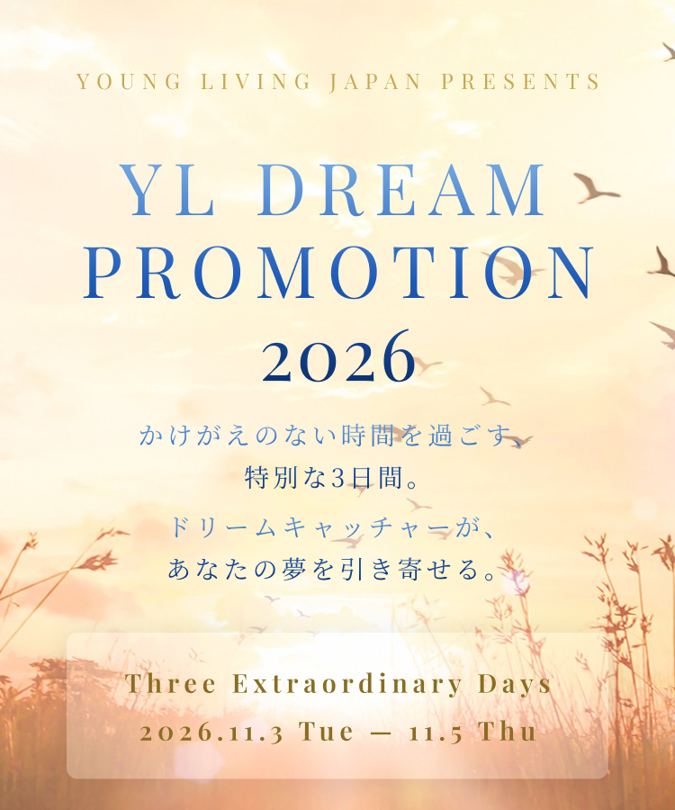 YL DREAM PROMOTION 2026