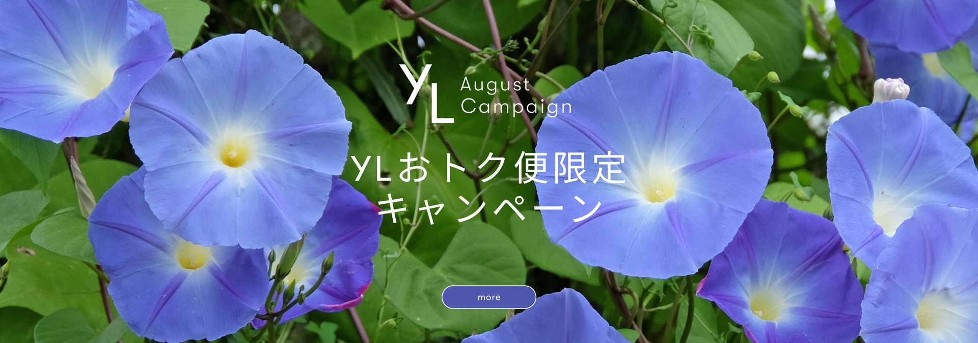 YL OTOKUBIN