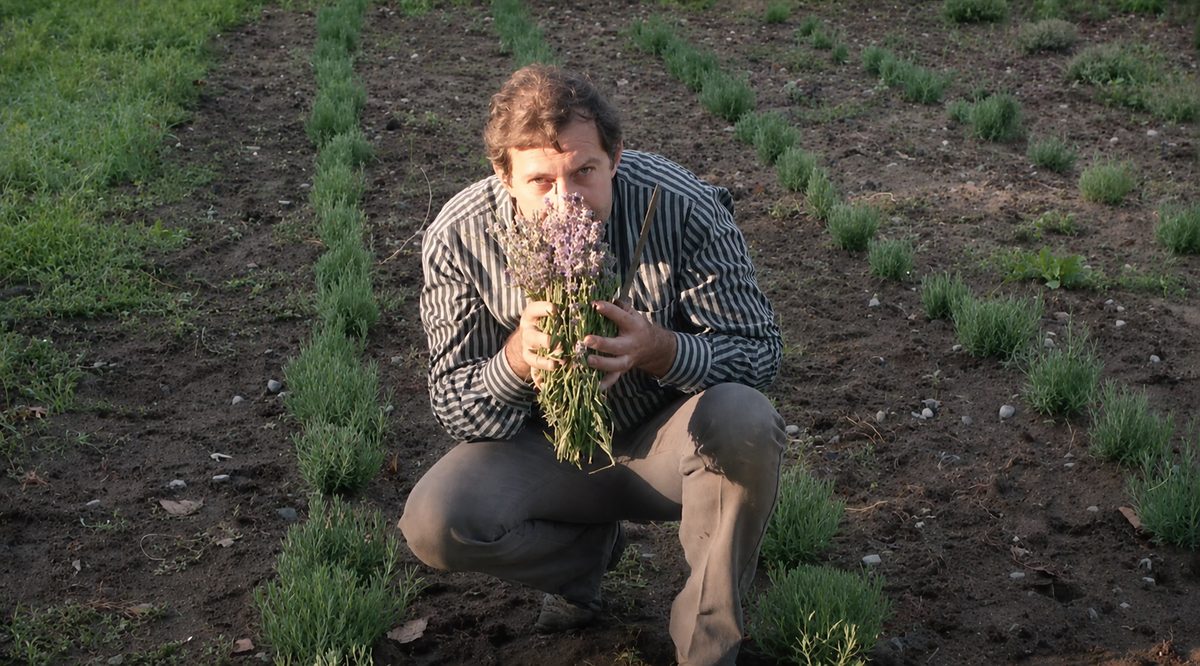 Seed to Seal