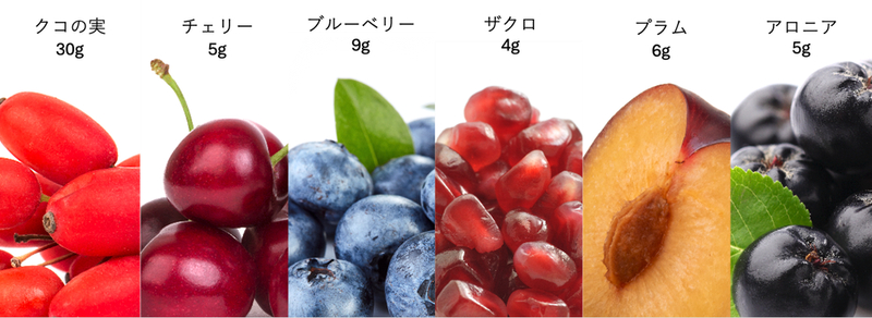 フルーツ素材比較 ― クコの実30g、チェリー5g、ブルーベリー、ザクロ等
