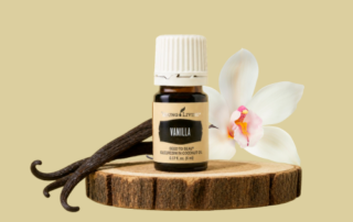 なぜバニラは「エッセンスオイル」なの？｜The Story Behind Vanilla