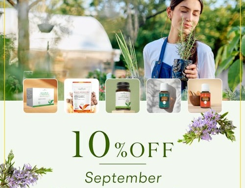 10％OFF 今月の注目製品！｜香りと健康習慣で整える9月セール！