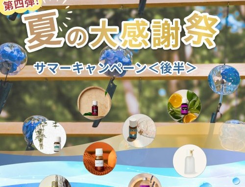 9月数量限定 特別販売｜夏の大感謝祭 第4弾 サマーキャンペーン＜後半＞