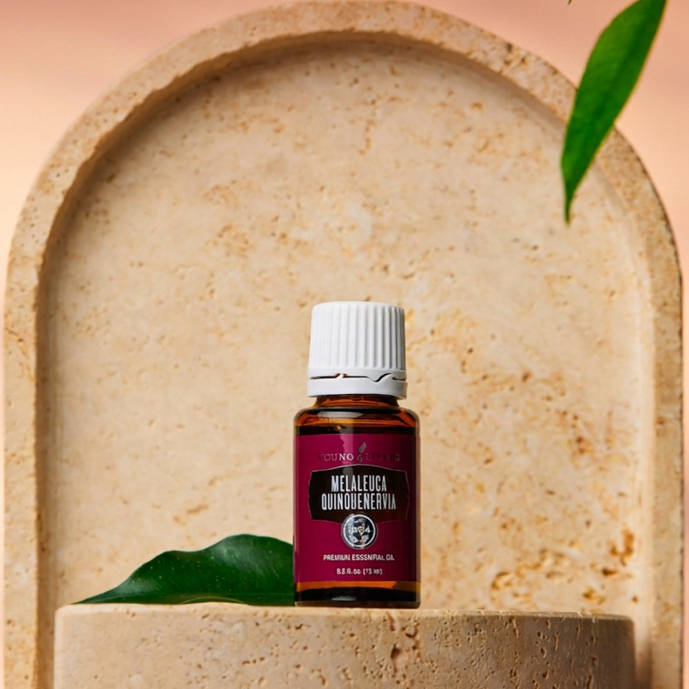 product-melaleuca-quinquenervia メラレウカ クインケネルビア