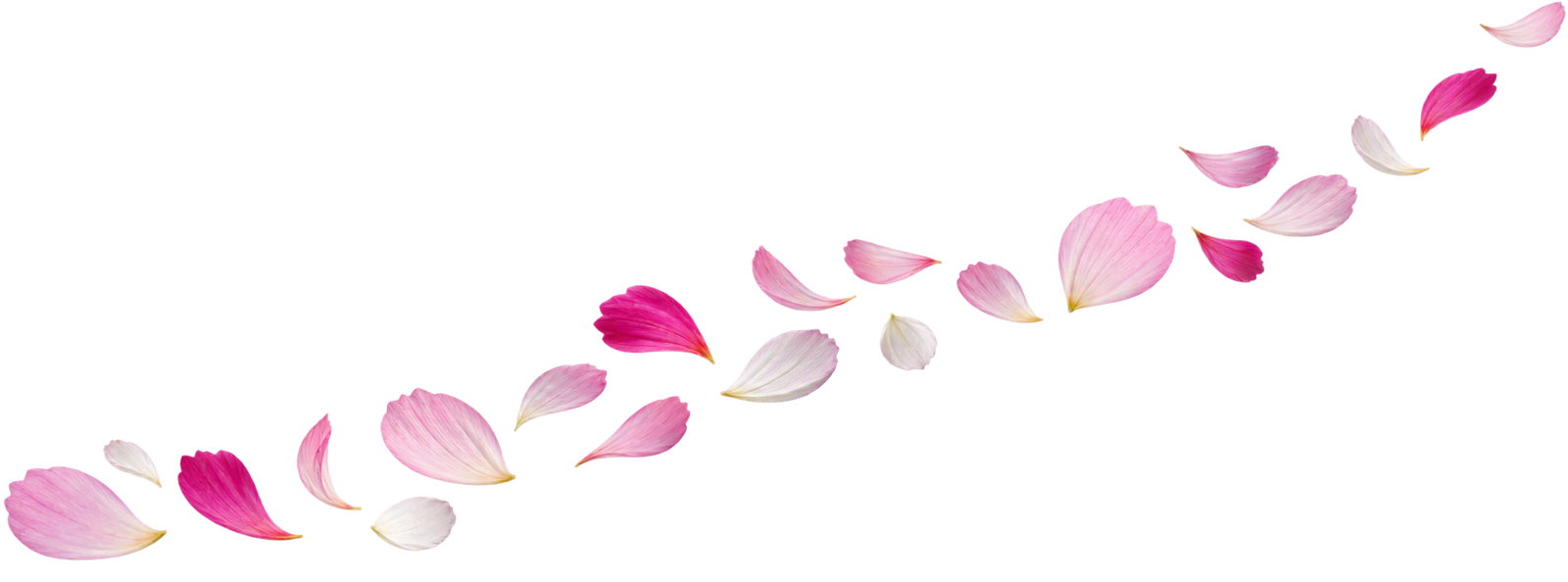 august-sale-flower1