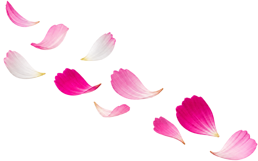 august-sale-flower1