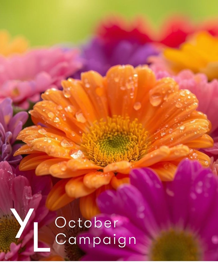 10月1日(木)〜25日(日)YLおトク便限定キャンペーン|秋が深まる季節に、心地よい香りをおトクに。