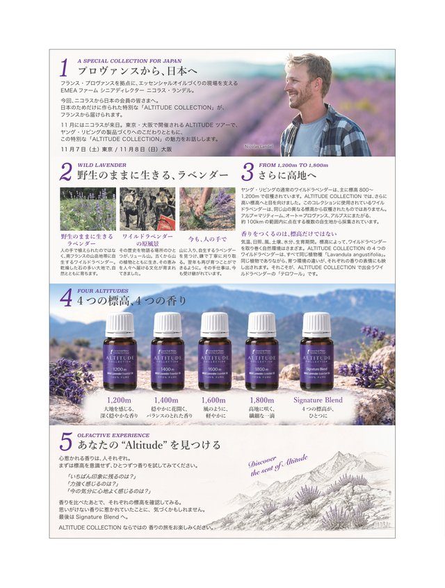 チラシ裏面