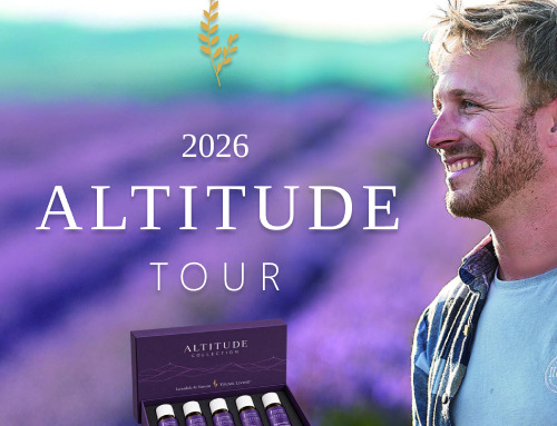 ニコラス・ランデル来日決定！ラベンダフルなALTITUDEツアー（東京 & 大阪）にお越しください！