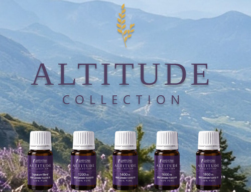 ALTITUDE COLLECTION 標高とともに、香りを旅する