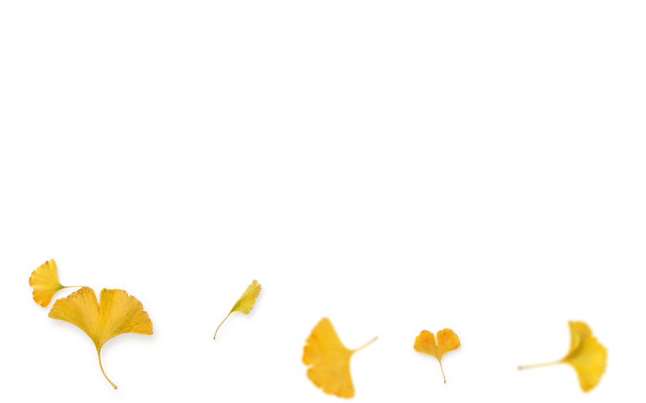 august-sale-flower1