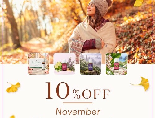 10％OFF 今月の注目製品！｜冬を迎える、わたしのウェルネス習慣 4つのアイテムが10％OFF
