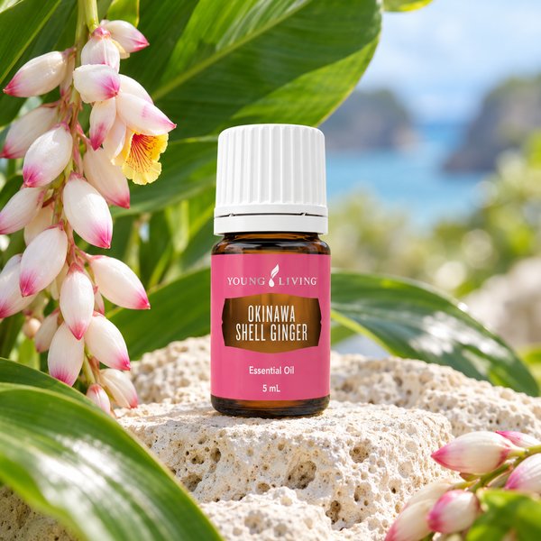 202611-discount-campaign-product-okinawa-shell-ginger 沖縄 月桃(タイリン)