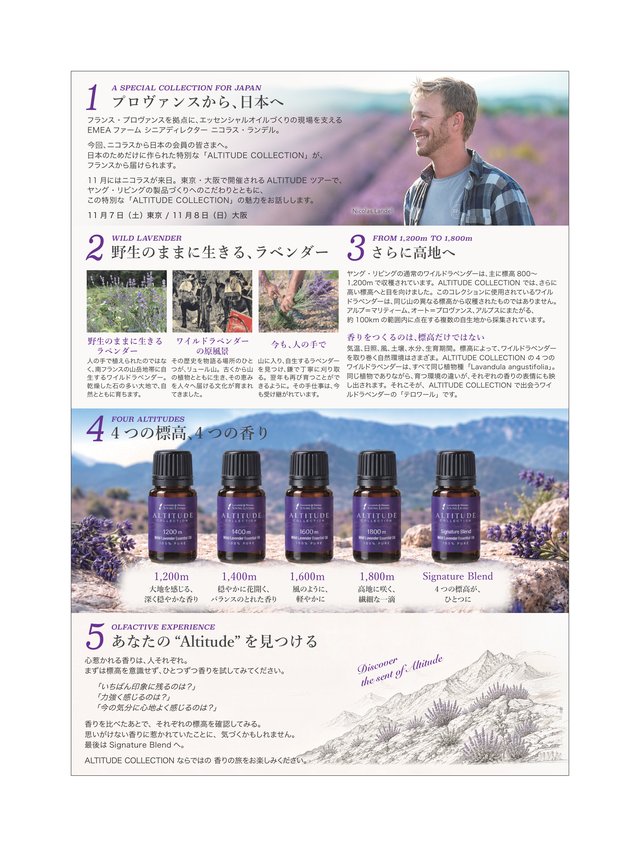 チラシ裏面