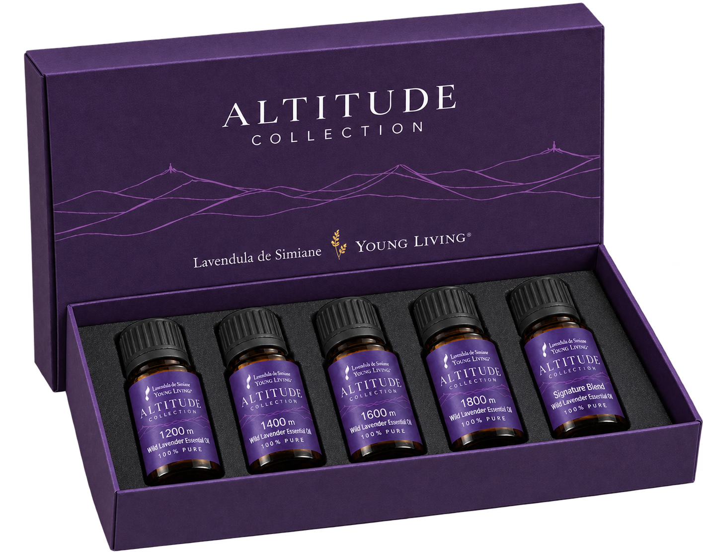 ALTITUDE COLLECTION 5本セットの箱