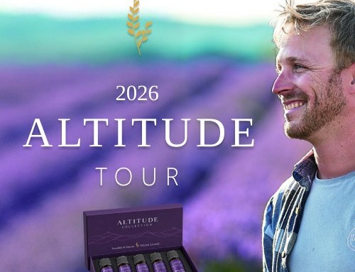 ニコラス・ランデル来日決定！ラベンダフルなALTITUDEツアー（東京 & 大阪）にお越しください！
