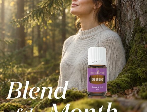 Blend of the Month「グラウンディング」