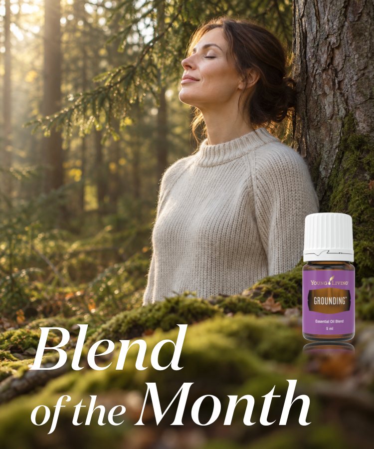 Blend of the Month グラウンディング