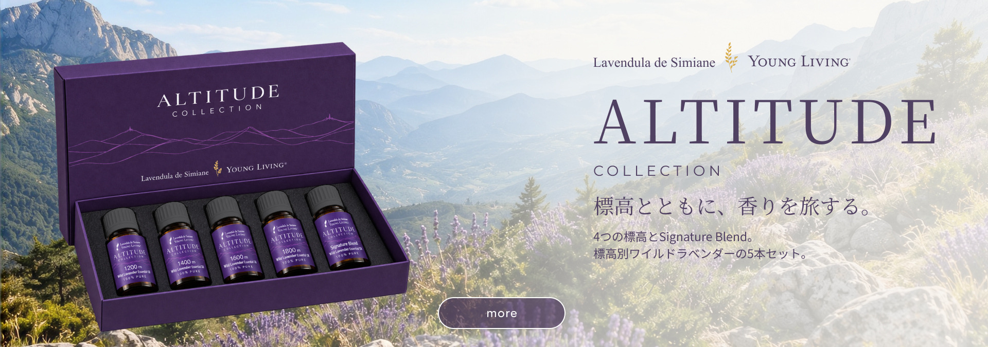 ALTITUDE COLLECTION