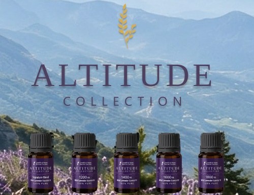 ALTITUDE COLLECTION 標高とともに、香りを旅する