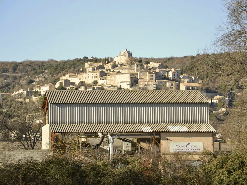 現在へとつながる、シミアン ラ ロトンドの蒸留所