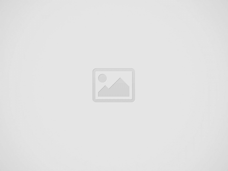 Cómo almacenar los aceites esenciales