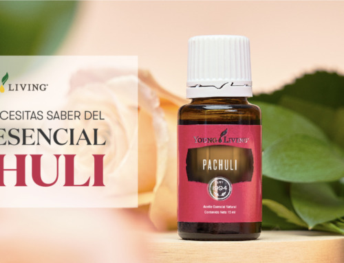 Todo lo que necesitas saber del Aceite Esencial Pachuli: