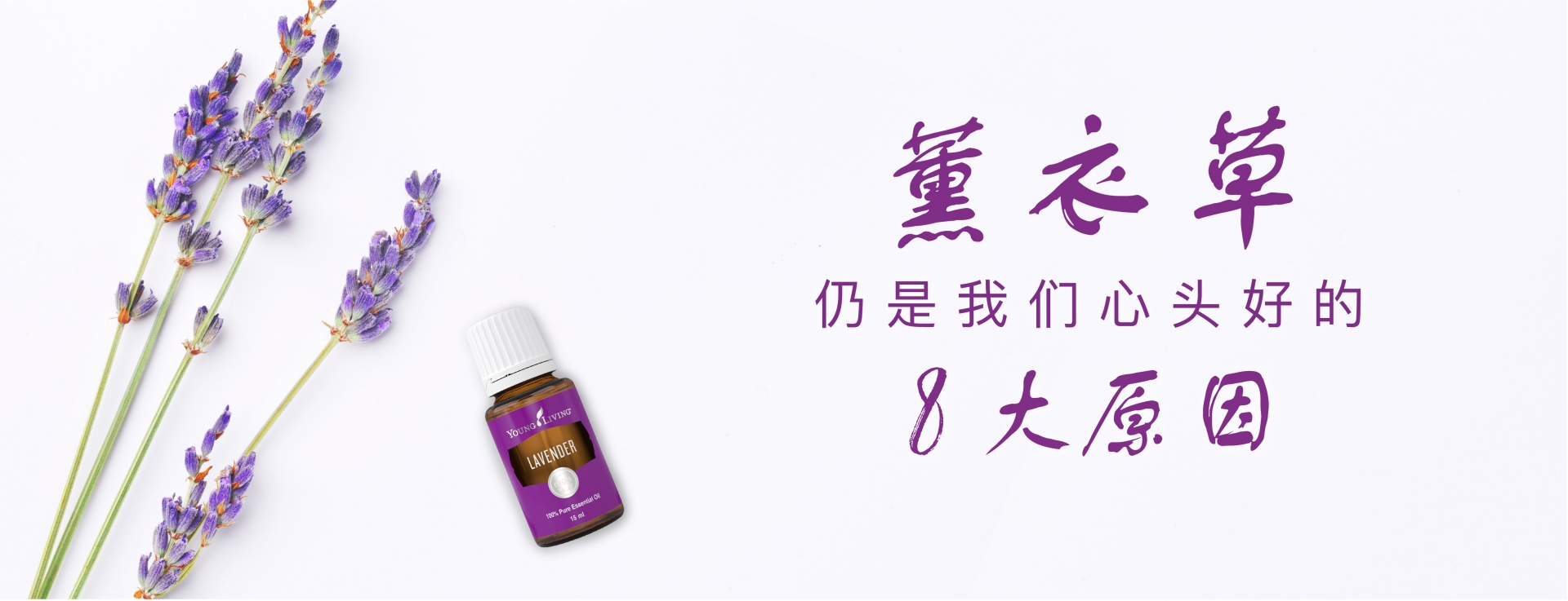 Young Living Lavender Oil