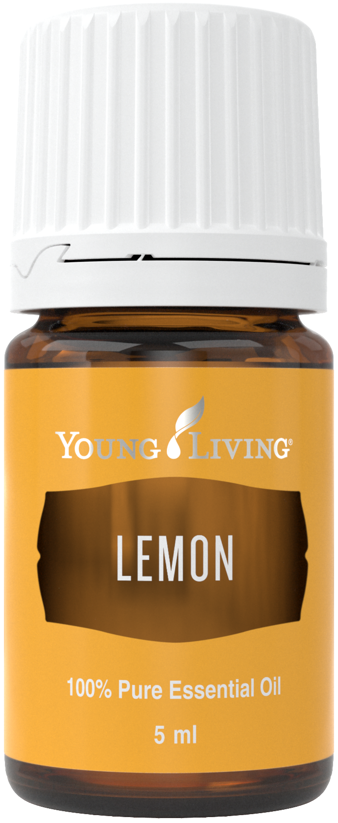 Young Living Purification Essential Oil Blend Uses and Benefits Young Living Blog