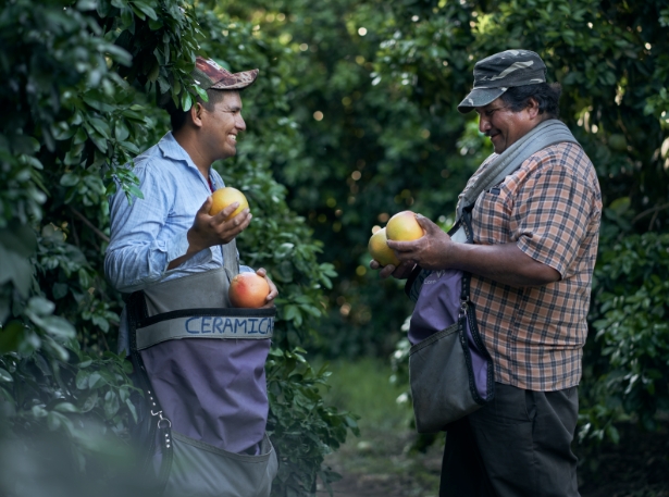 Finca Victoria farm Young Living farm