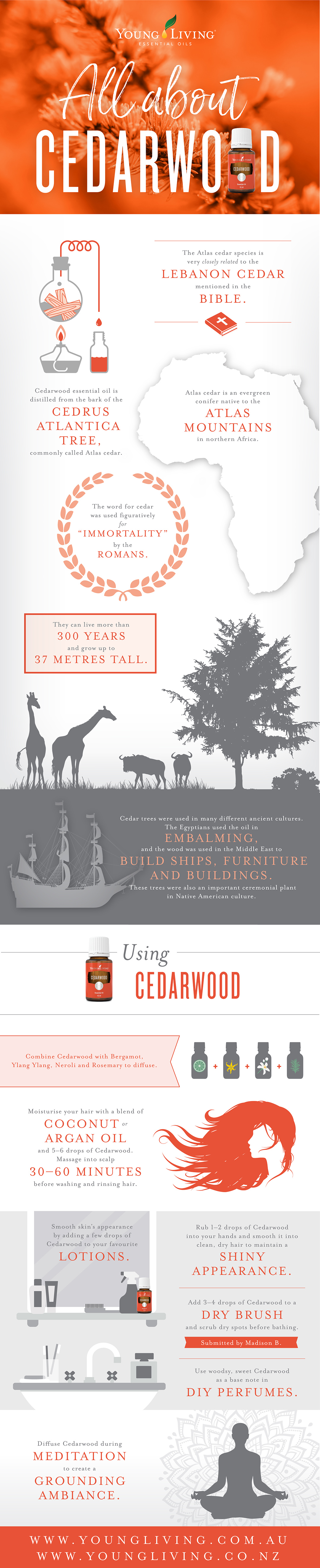 Cedarwood Uses and Benefits