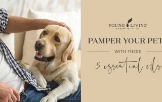 Pamper your pets with these 5 diluted essential oils Header