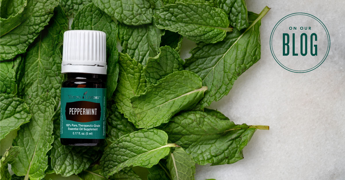 Peppermint Oil  Young Living Essential Oils
