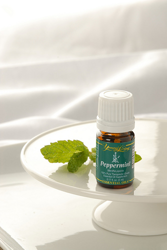 Young Living Peppermint Oil