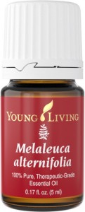 Melaleuca Alternifolia | Young Living Tea Tree Oil