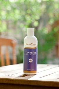 Lavender Hand and Body Lotion - Young Living
