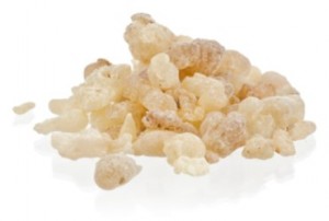 Frankincense Resin - Young Living EOs
