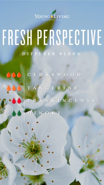 Fresh perspective essential oil diffuser blend Fresh perspective essential oil diffuser blend