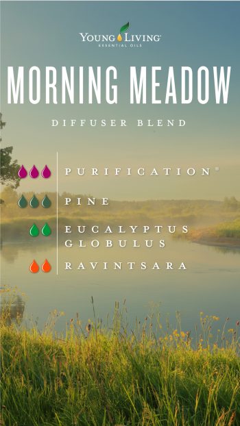 Morning meadow diffuser blend
