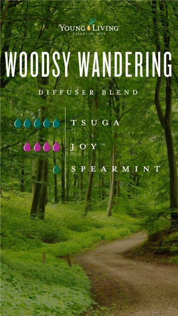 Woodsy Wandering diffuser blend 