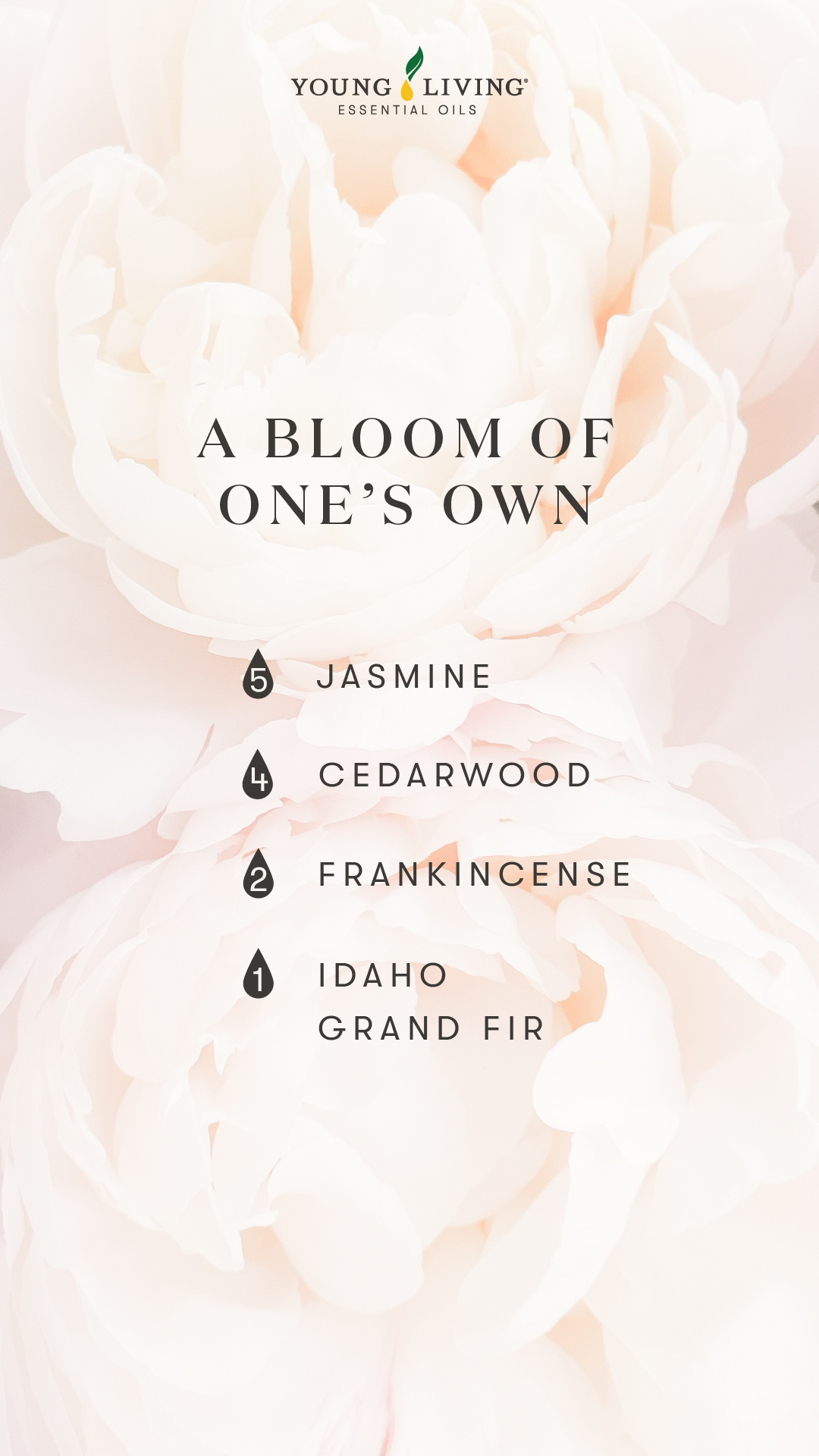 Jasmine Diffuser Blends Jasmine Essential Oil Diffuser Blend