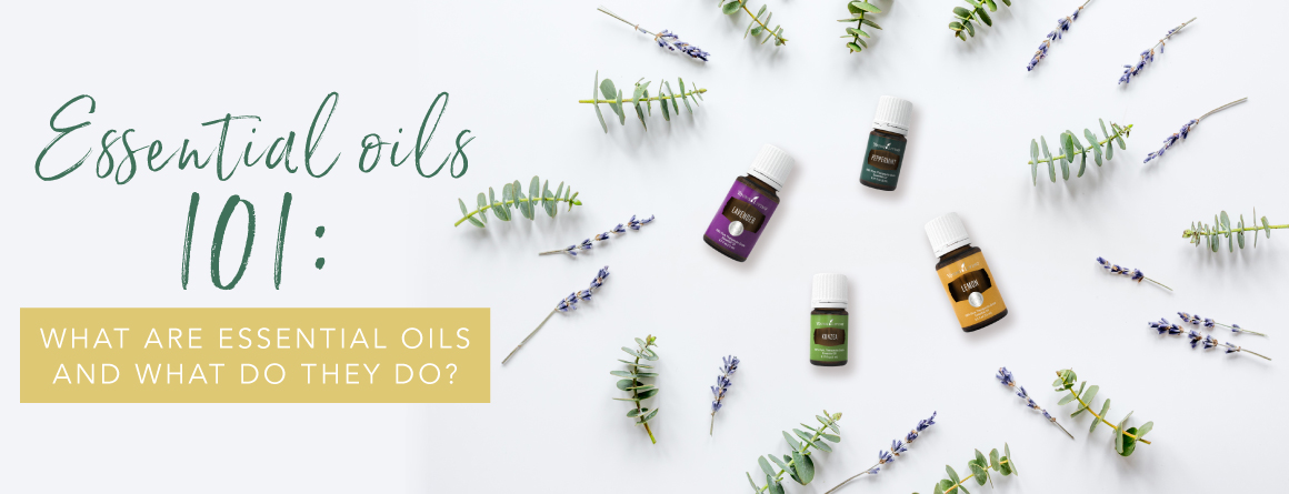 Essential oils 101: What are essential oils and what do they do?